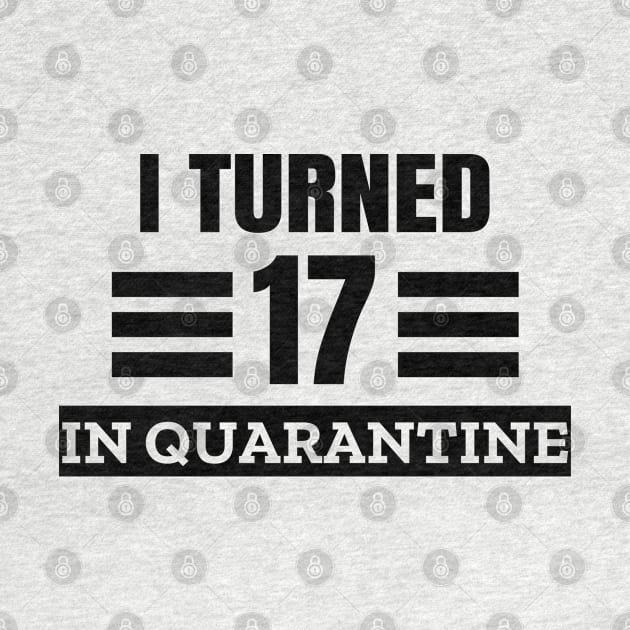 I Turned 17 In Quarantine by LunaMay